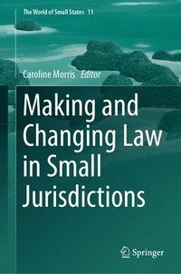 bokomslag Making and Changing Law in Small Jurisdictions