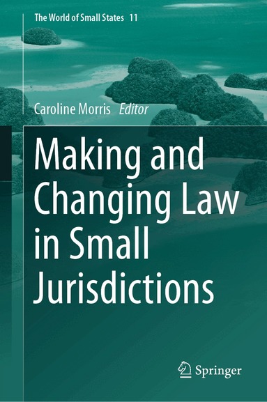 Caroline Morris - Making and Changing Law in Small Jurisdictions, Inbunden