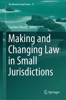 Making and Changing Law in Small Jurisdictions 1