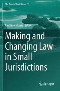 bokomslag Making and Changing Law in Small Jurisdictions