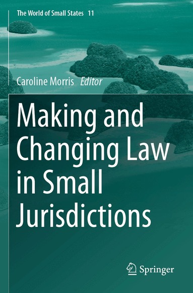 Caroline Morris - Making and Changing Law in Small Jurisdictions, Häftad