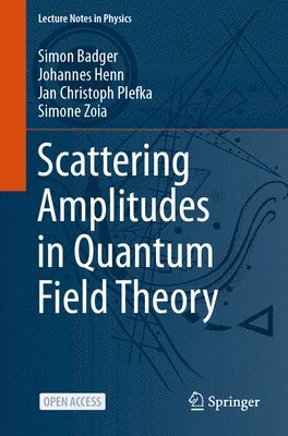 bokomslag Scattering Amplitudes in Quantum Field Theory