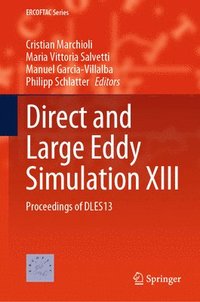 bokomslag Direct and Large Eddy Simulation XIII