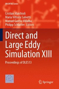 bokomslag Direct and Large Eddy Simulation XIII