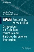 Xiaojing Zheng, S. Balachandar - Proceedings of the IUTAM Symposium on Turbulent Structure and Particles-Turbulence Interaction, Häftad