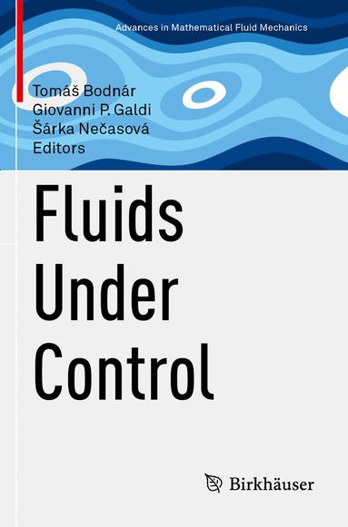 Tomáš Bodnár, Giovanni P. Galdi, Šárka Nečasová - Fluids Under Control, Häftad