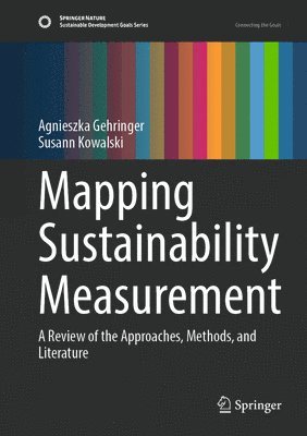 bokomslag Mapping Sustainability Measurement