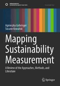 bokomslag Mapping Sustainability Measurement