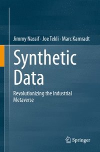 bokomslag Synthetic Data