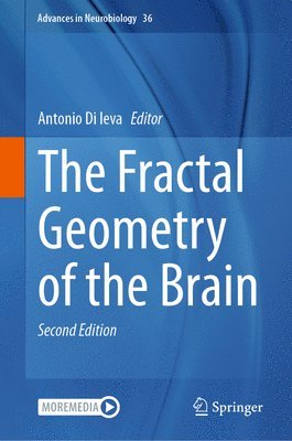 Antonio Di Ieva - Fractal Geometry of the Brain, Inbunden
