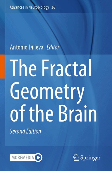 Antonio Di Ieva - Fractal Geometry of the Brain, Häftad