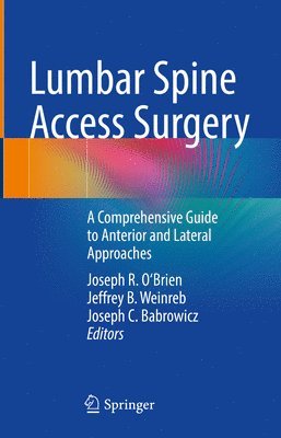 Lumbar Spine Access Surgery 1