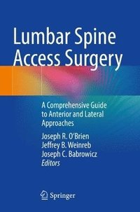 bokomslag Lumbar Spine Access Surgery