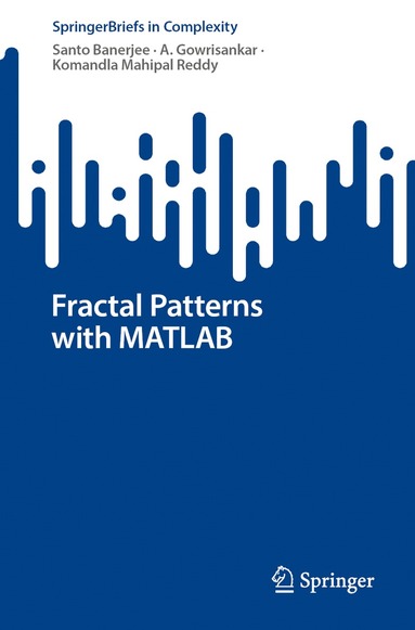 Santo Banerjee, A. Gowrisankar, Komandla Mahipal Reddy - Fractal Patterns with MATLAB, Häftad