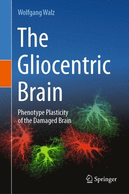 bokomslag Gliocentric Brain