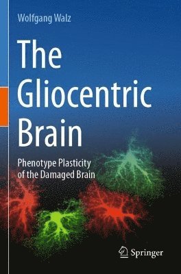 bokomslag The Gliocentric Brain