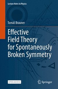 bokomslag Effective Field Theory for Spontaneously Broken Symmetry