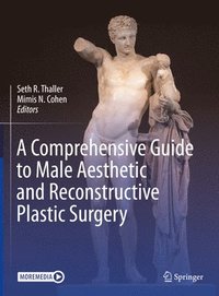 bokomslag A Comprehensive Guide to Male Aesthetic and Reconstructive Plastic Surgery