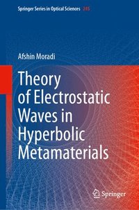 bokomslag Theory of Electrostatic Waves in Hyperbolic Metamaterials