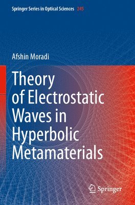 bokomslag Theory of Electrostatic Waves in Hyperbolic Metamaterials