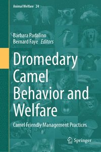 bokomslag Dromedary Camel Behavior and Welfare