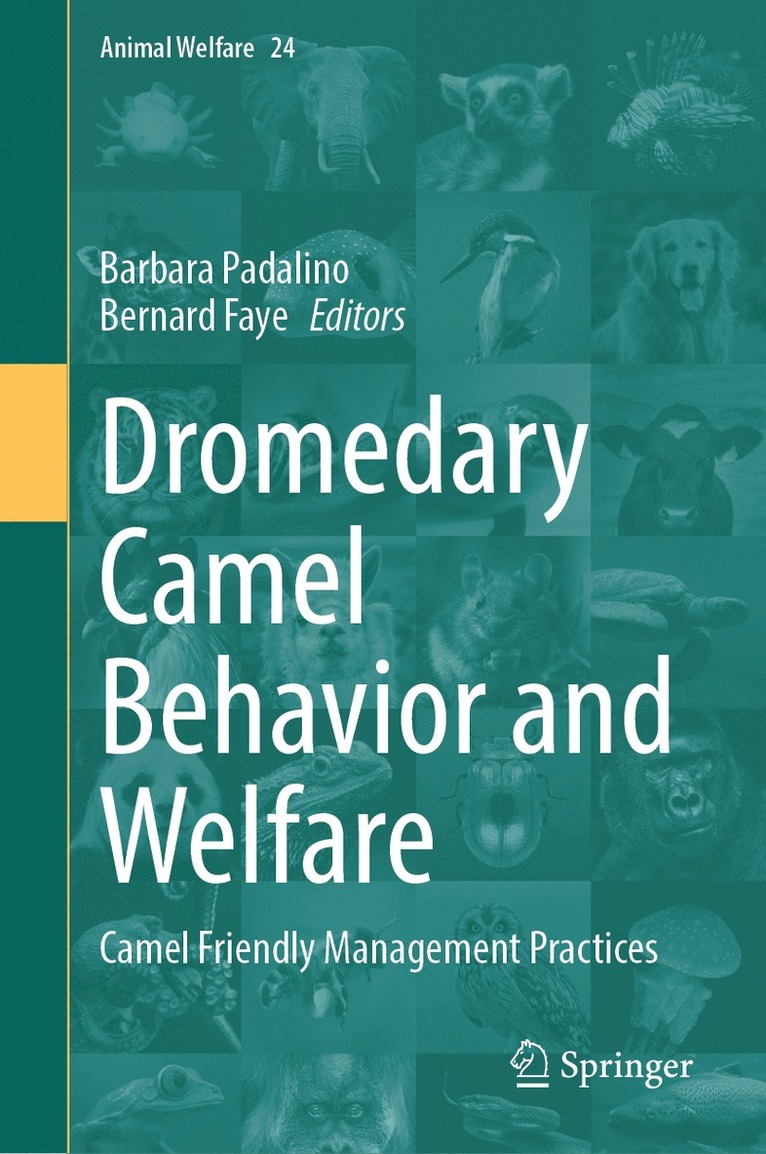 Barbara Padalino, Bernard Faye - Dromedary Camel Behavior and Welfare, Inbunden