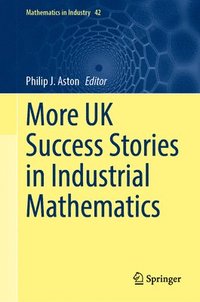 bokomslag More UK Success Stories in Industrial Mathematics