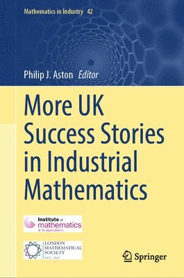 bokomslag More UK Success Stories in Industrial Mathematics