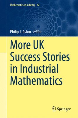 Philip J. Aston - More UK Success Stories in Industrial Mathematics, Inbunden