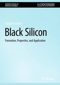 bokomslag Black Silicon