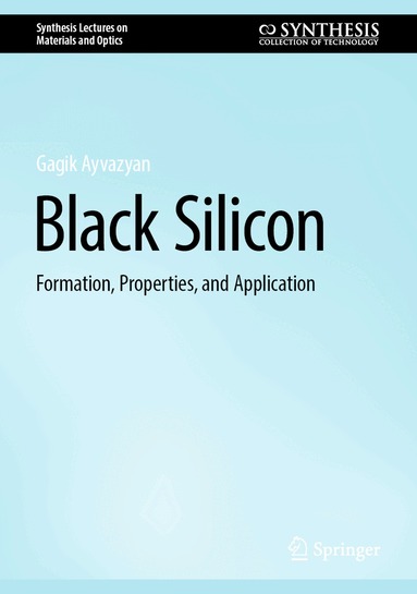 Gagik Ayvazyan - Black Silicon, Inbunden