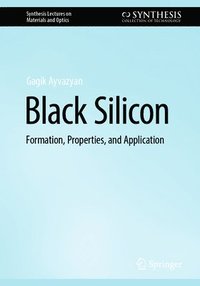 bokomslag Black Silicon