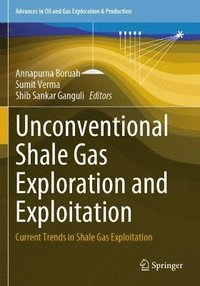 bokomslag Unconventional Shale Gas Exploration and Exploitation