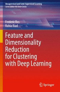 bokomslag Feature and Dimensionality Reduction for Clustering with Deep Learning