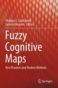 bokomslag Fuzzy Cognitive Maps