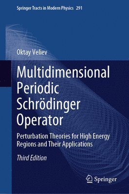 bokomslag Multidimensional Periodic Schrdinger Operator
