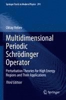 bokomslag Multidimensional Periodic Schrödinger Operator