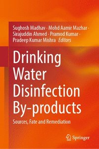 bokomslag Drinking Water Disinfection By-products