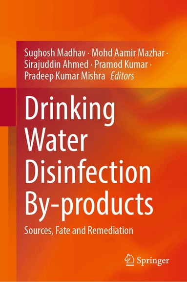 Sughosh Madhav, Mohd Aamir Mazhar, Sirajuddin Ahmed, Pramod Kumar, Pradeep Kumar Mishra - Drinking Water Disinfection By-products, Inbunden
