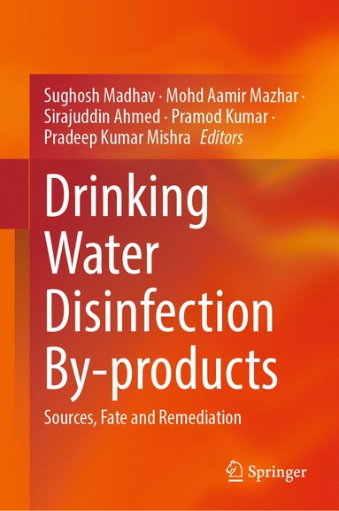 bokomslag Drinking Water Disinfection By-products