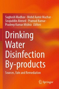 bokomslag Drinking Water Disinfection By-products