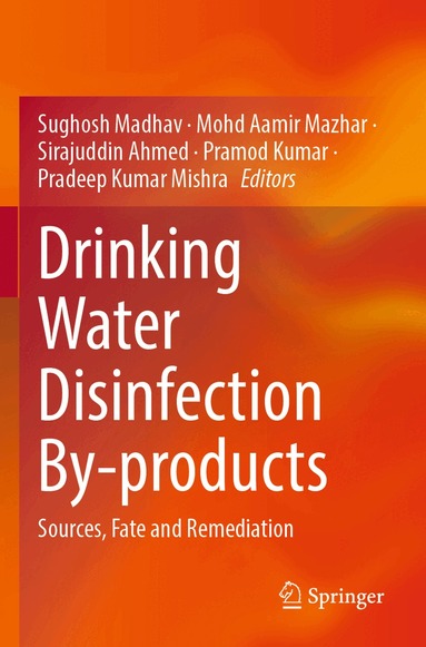 Sughosh Madhav, Mohd Aamir Mazhar, Sirajuddin Ahmed, Pramod Kumar, Pradeep Kumar Mishra - Drinking Water Disinfection By-products, Häftad