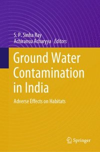 bokomslag Ground Water Contamination in India