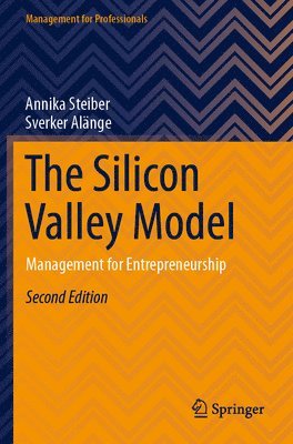 Silicon Valley Model