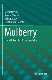 bokomslag Mulberry