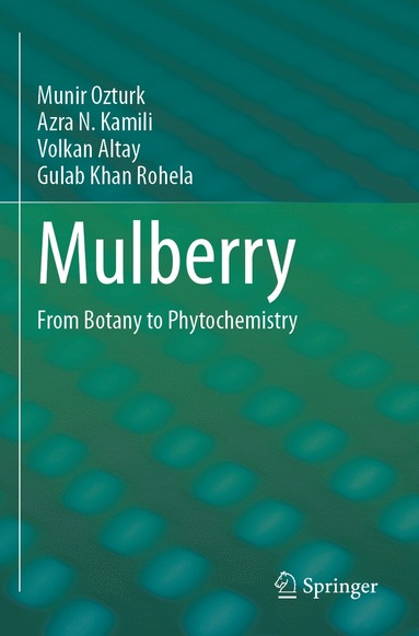 bokomslag Mulberry