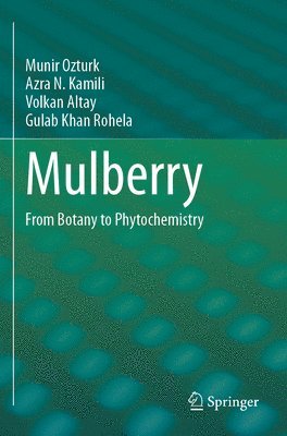 Mulberry 1