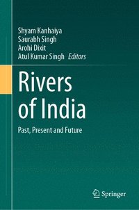 bokomslag Rivers of India
