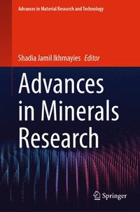 bokomslag Advances in Minerals Research