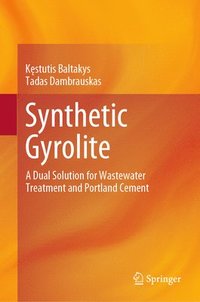 bokomslag Synthetic Gyrolite